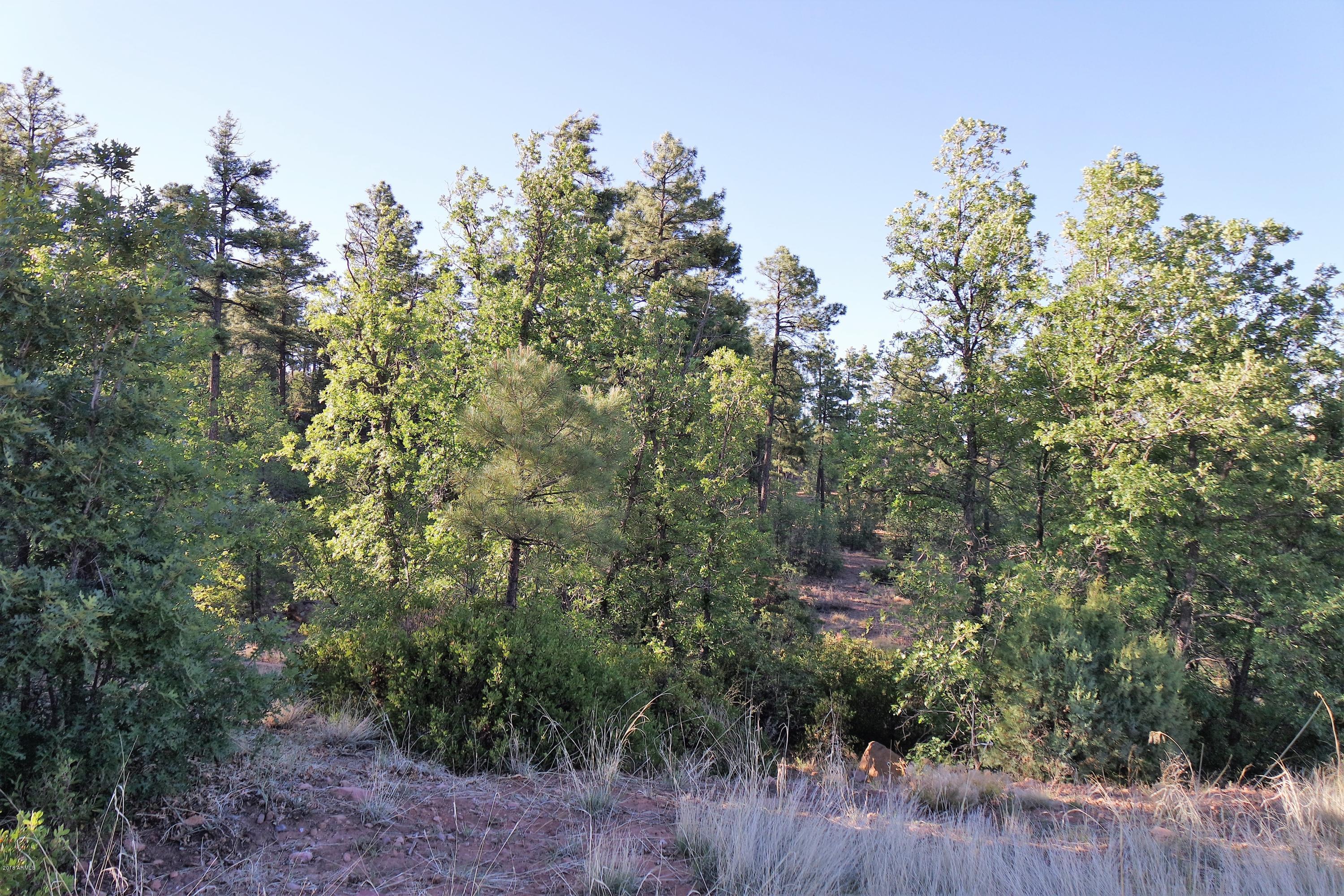 6023 Rim Road, Unit 61 Show Low, AZ 85901 - Photo 7 of 10 Surrounded by Nature