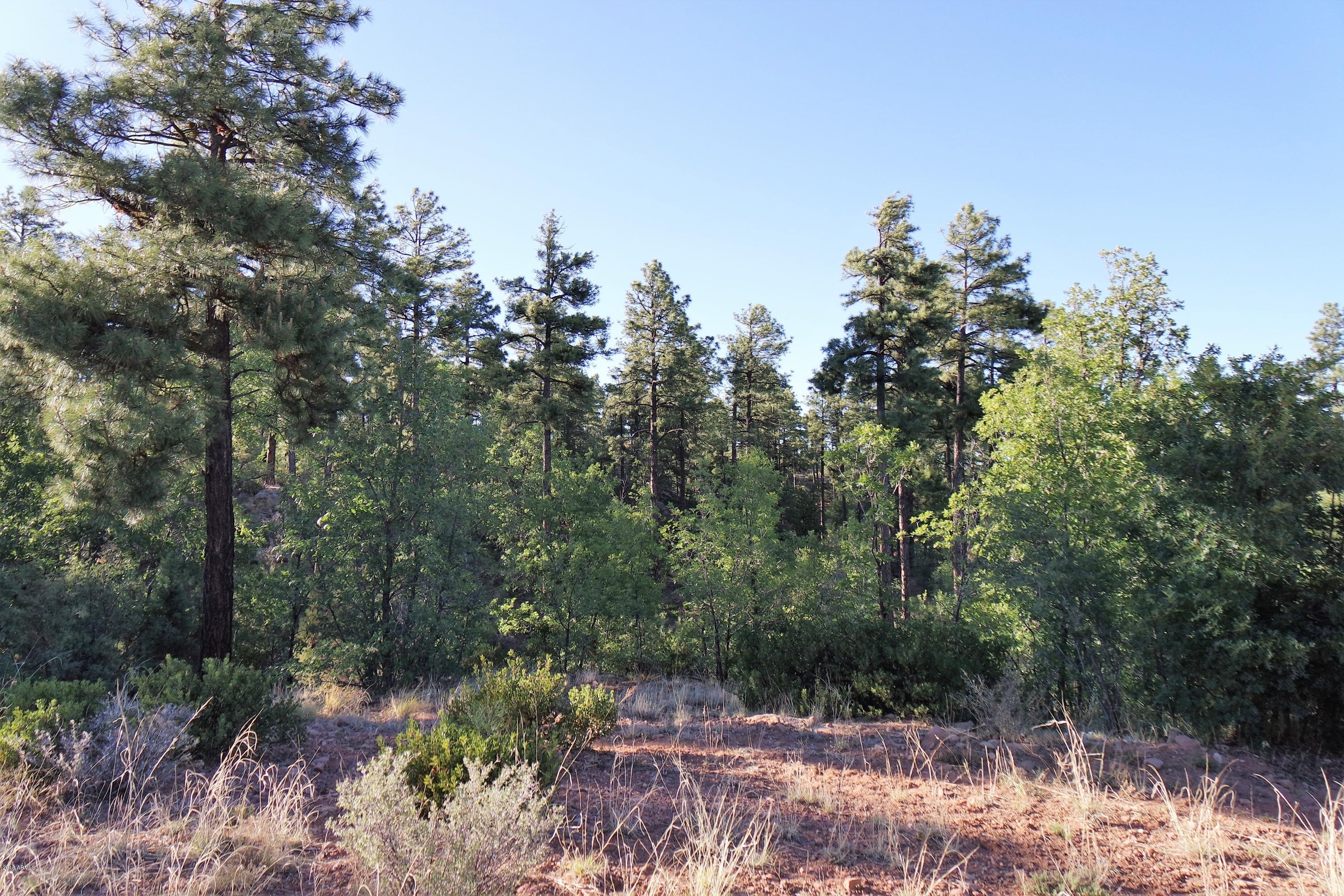 6023 Rim Road, Unit 61 Show Low, AZ 85901 - Photo 8 of 10 Surrounded by Nature