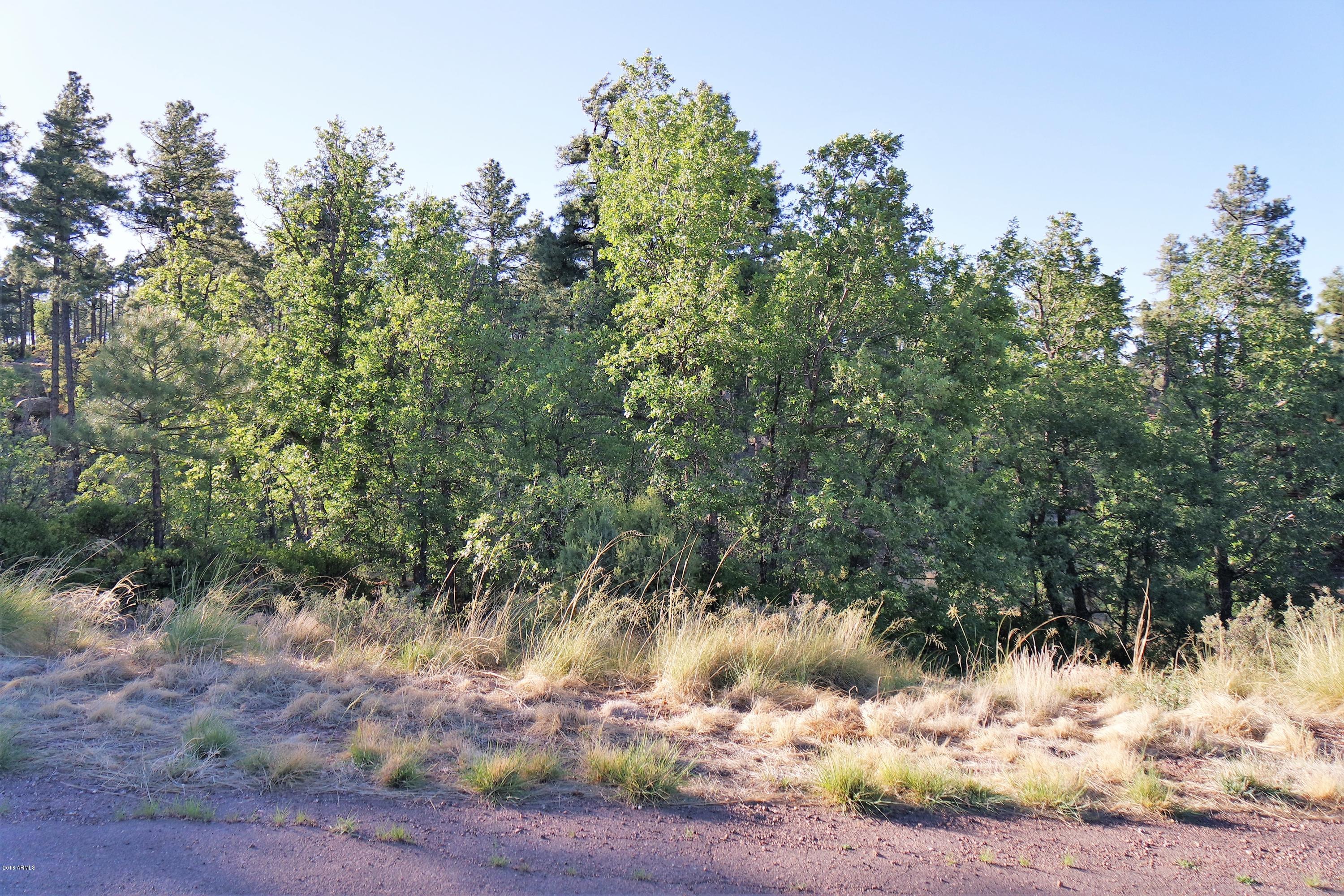 6023 Rim Road, Unit 61 Show Low, AZ 85901 - Photo 10 of 10 Tall Pines