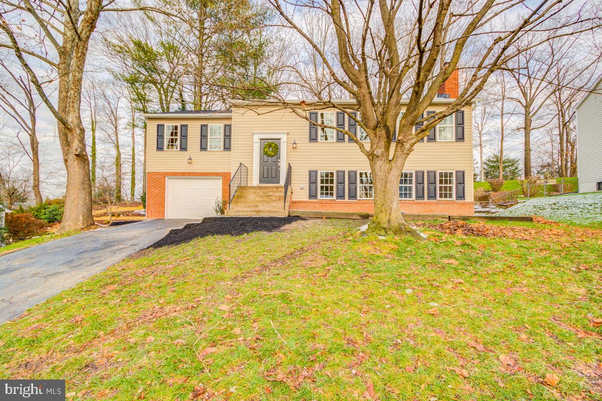 6313 Rockwell Road Burke, VA 22015 - Photo 1 of 39 Gallery Image 1