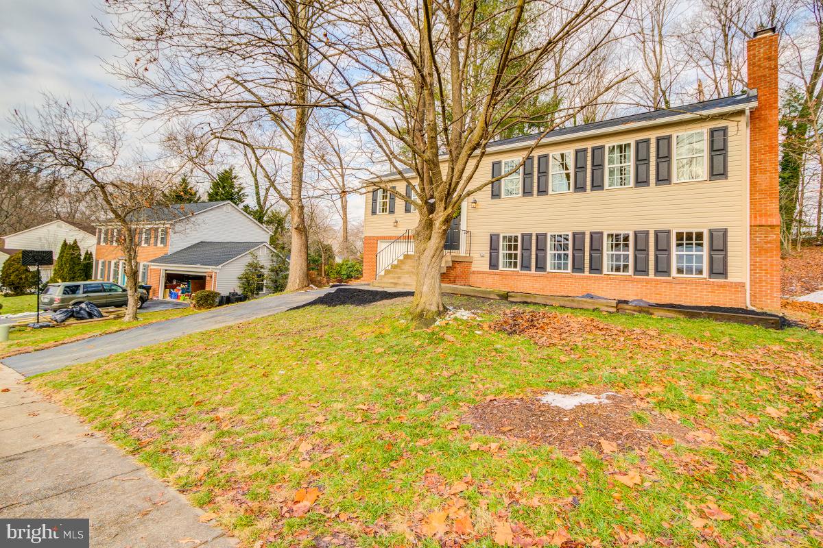 6313 Rockwell Road Burke, VA 22015 - Photo 2 of 39 Gallery Image 2