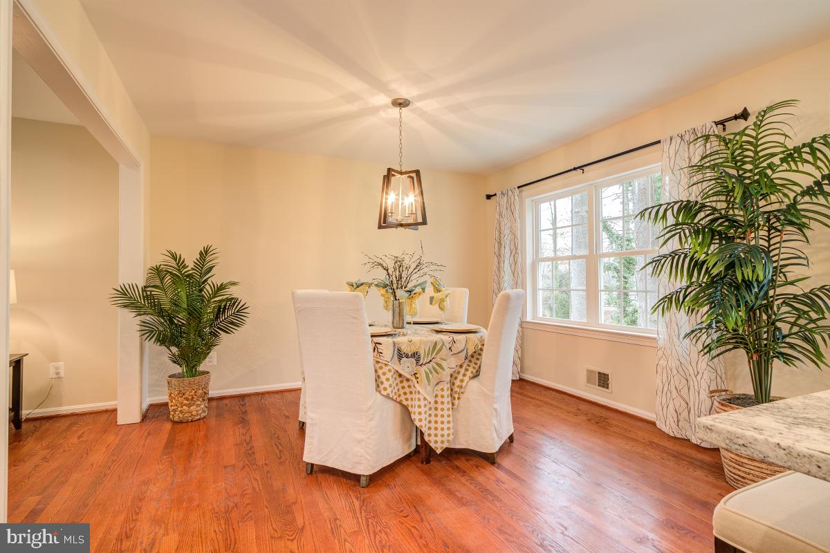 6313 Rockwell Road Burke, VA 22015 - Photo 9 of 39 Gallery Image 9
