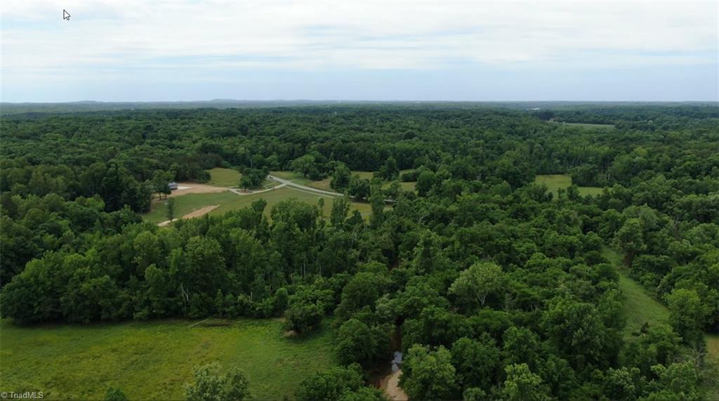 4675 Midway School Road Thomasville, NC 27360 - Photo 9 of 11