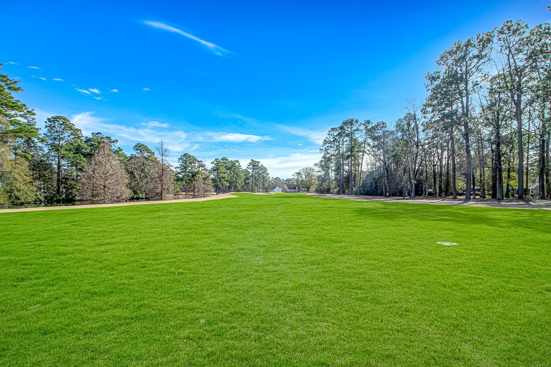 119 University Circle Conway, SC 29526 - Photo 35 of 40 View of property's community featuring a yard and view of scattered trees