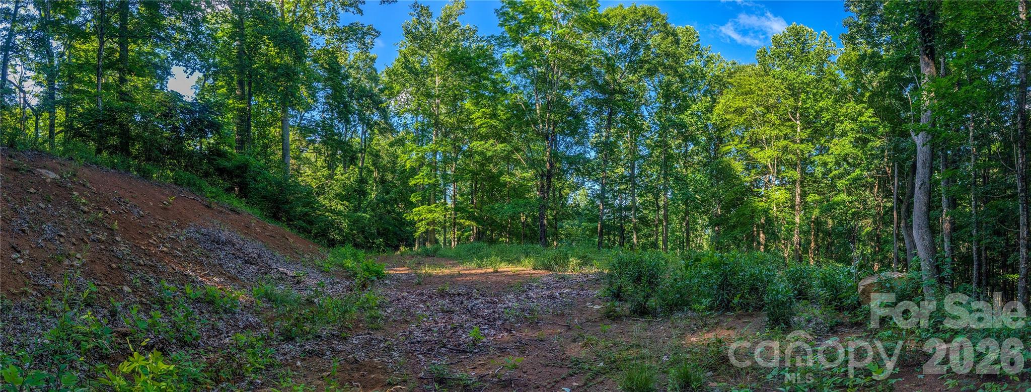 0 Amber Ranches, Unit 47 Bakersville, NC 28705 - Photo 7 of 18