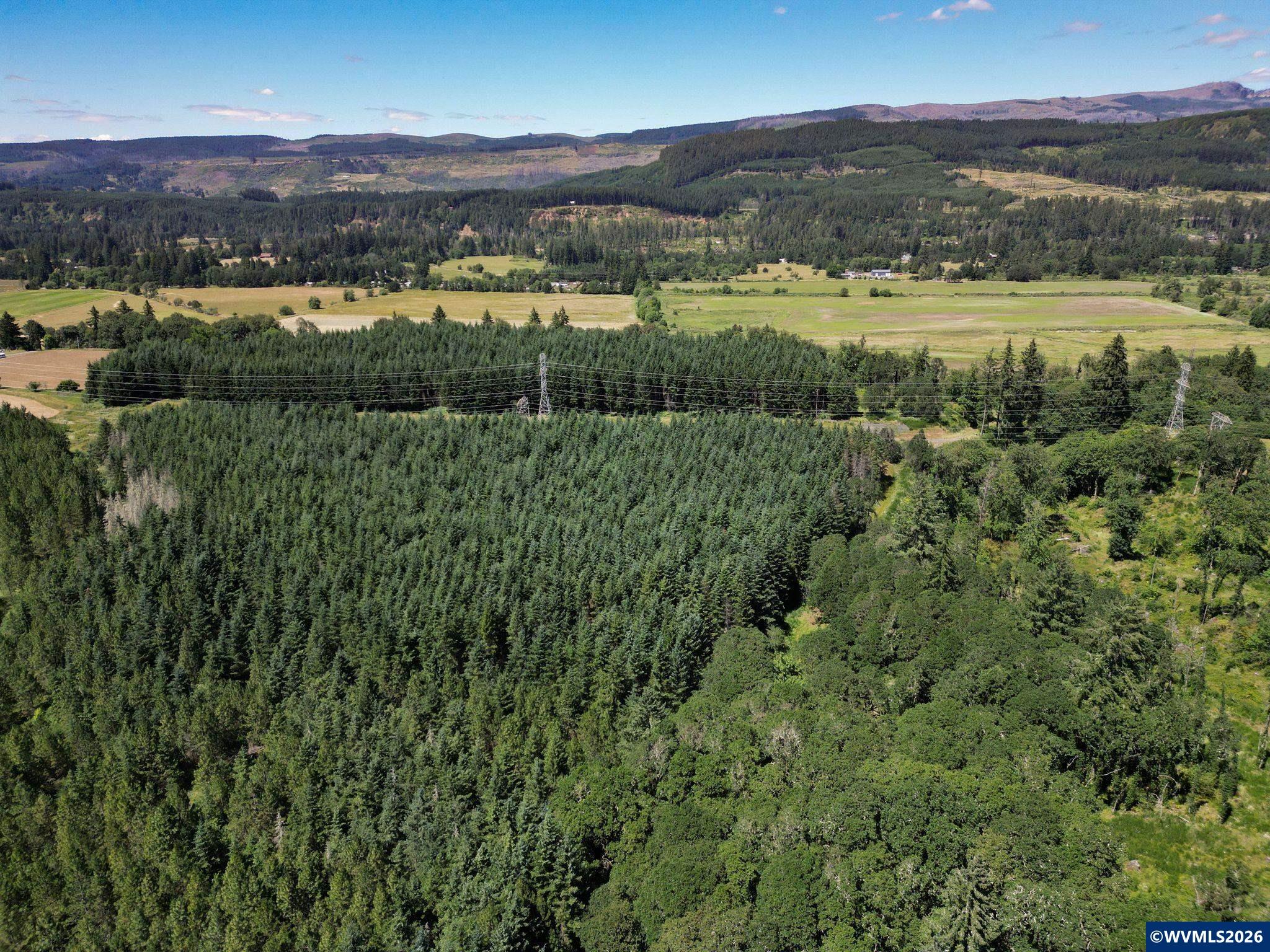 2702-2703 South Cedar Mill Road Lyons, OR 97358 - Photo 5 of 17