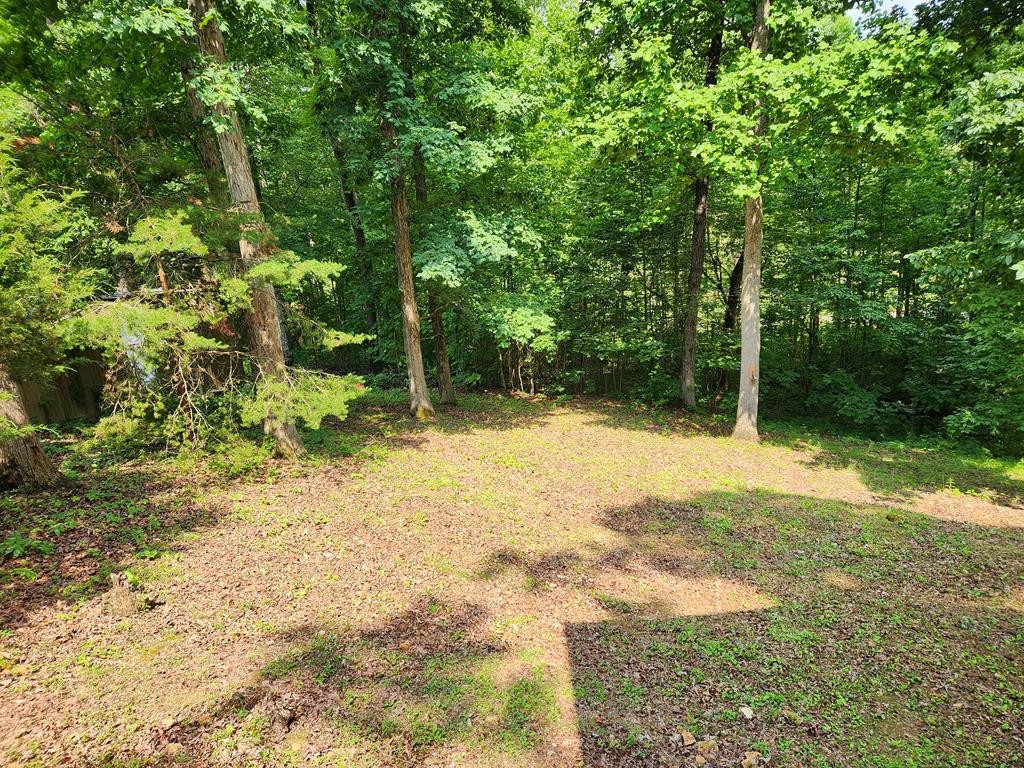 1939 Hodgetown Road Rutledge, TN 37861 - Photo 56 of 63 a view of backyard with green space