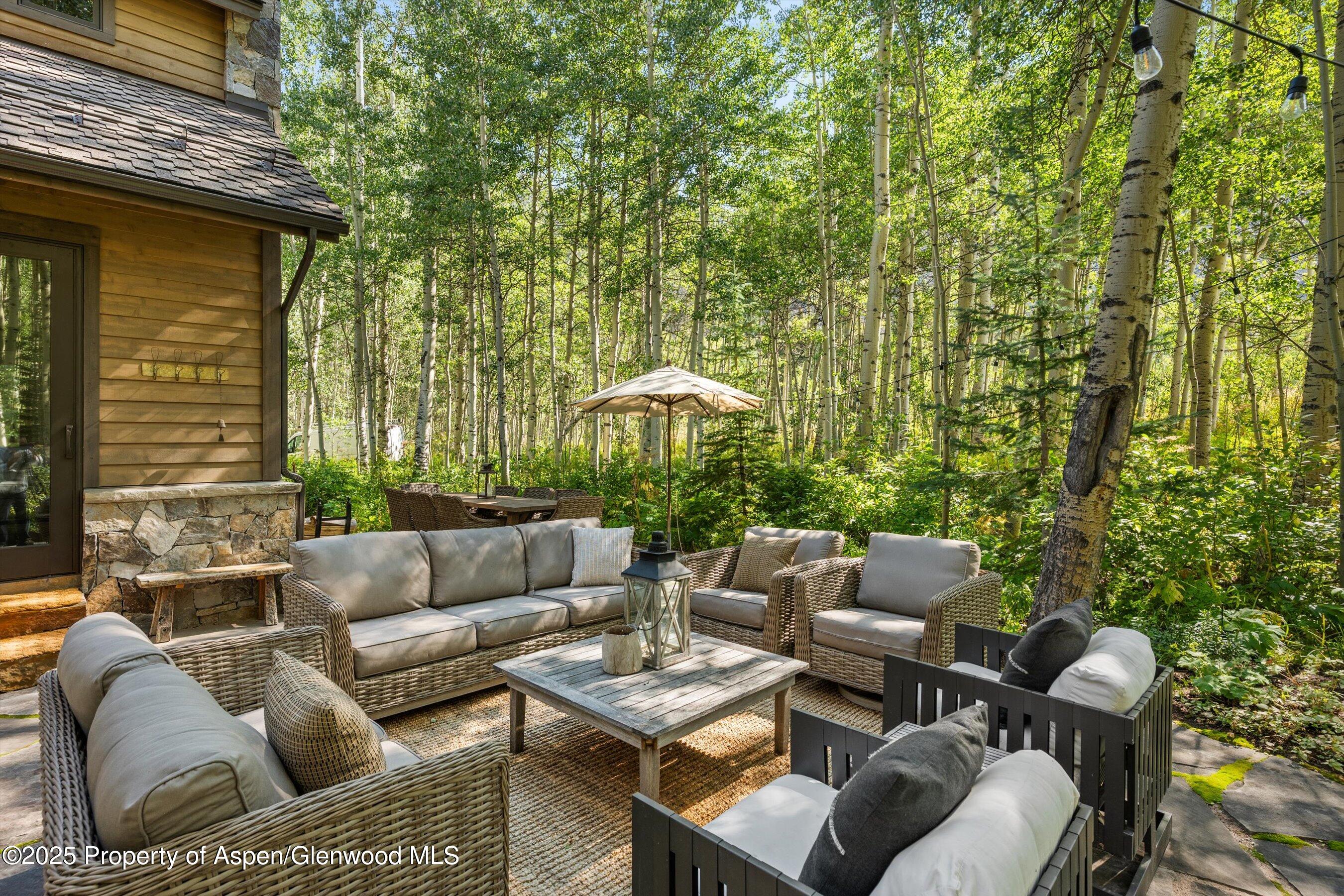 9555 Castle Creek Road Aspen, CO 81612 - Photo 5 of 42 a patio with patio a couch and chairs