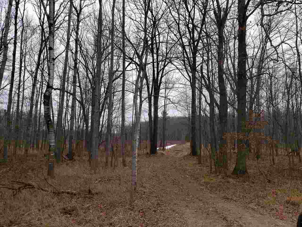 0 North Gilmore Road Farwell, MI 48622 - Photo 1 of 5