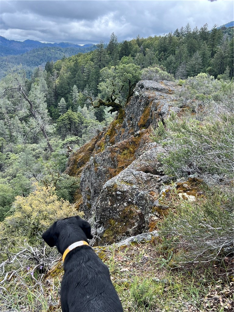 14903 Western Mine Road Middletown, CA 95461 - Photo 16 of 30