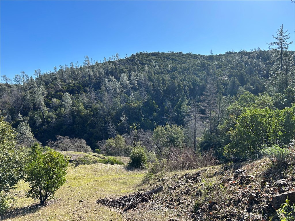 14903 Western Mine Road Middletown, CA 95461 - Photo 20 of 30