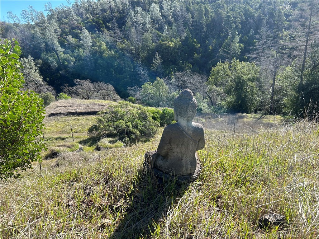 14903 Western Mine Road Middletown, CA 95461 - Photo 27 of 30