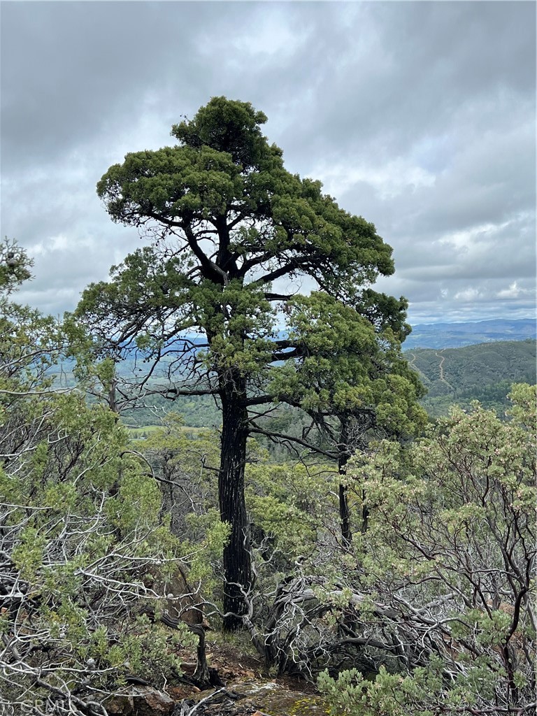 14903 Western Mine Road Middletown, CA 95461 - Photo 29 of 30