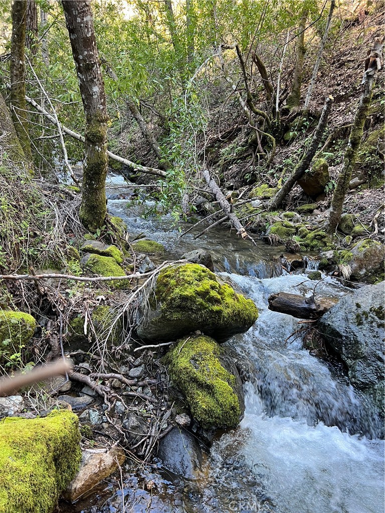 14903 Western Mine Road Middletown, CA 95461 - Photo 6 of 30