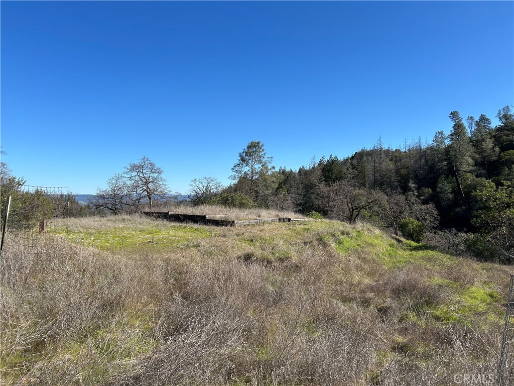 14903 Western Mine Road Middletown, CA 95461 - Photo 8 of 30