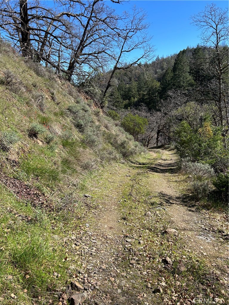 14903 Western Mine Road Middletown, CA 95461 - Photo 10 of 30