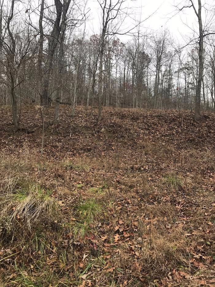 1 Red Road McKee, KY 40447 - Photo 8 of 10 Photo 8