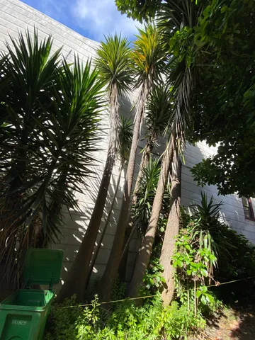 $1,585,000 | 3529 Mission Street, San Francisco, CA 94110