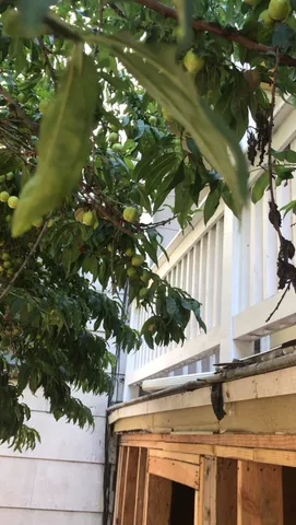 $1,585,000 | 3529 Mission Street, San Francisco, CA 94110