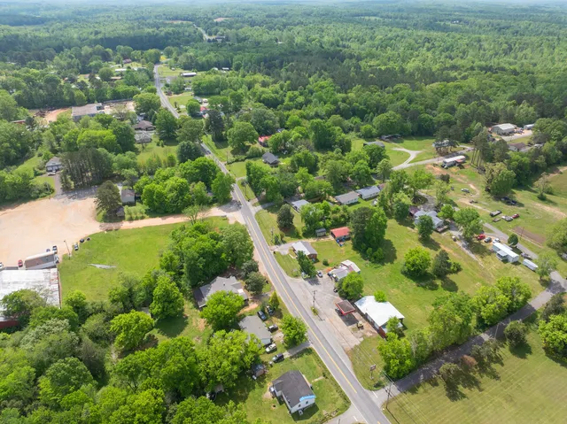 an aerial view of residential houses with outdoor space and trees