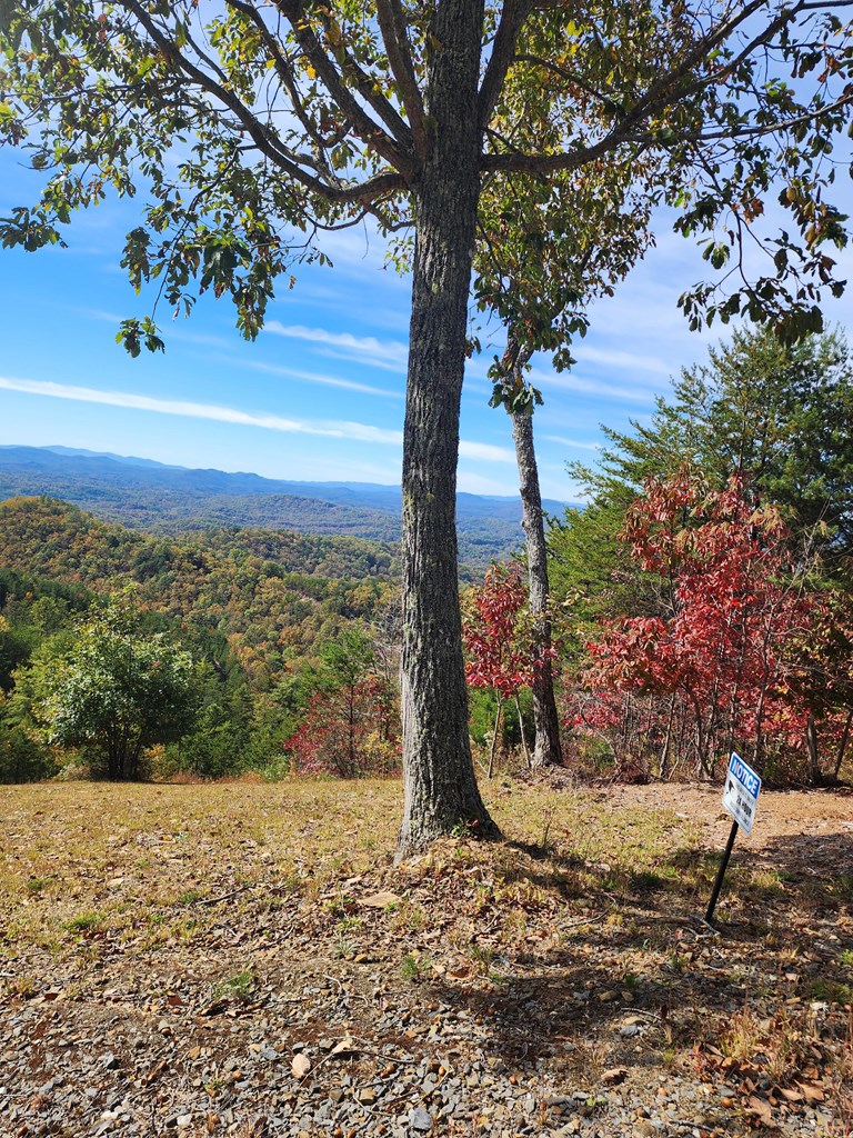 0 Patriot Ridge Murphy, NC 28906 - Photo 2 of 6