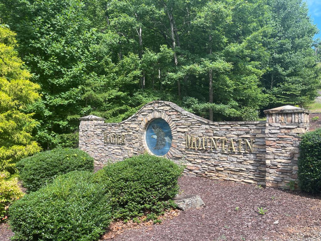 0 Patriot Ridge Murphy, NC 28906 - Photo 3 of 6