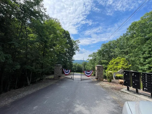 a view of a street with trees and bushes