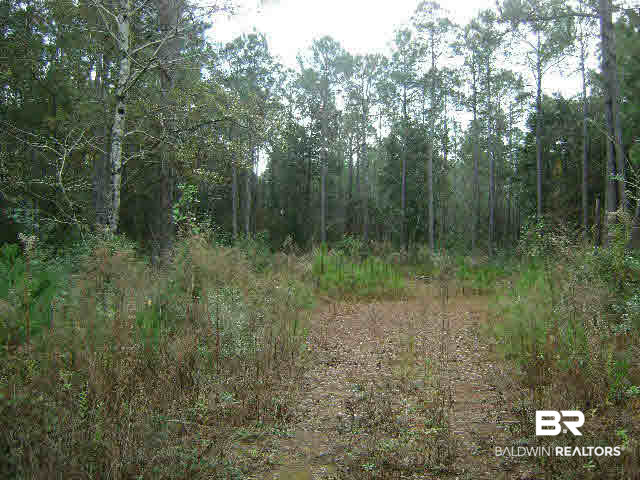 6972 Scenic Highway 98 Fairhope, AL 36532 - Photo 1 of 5