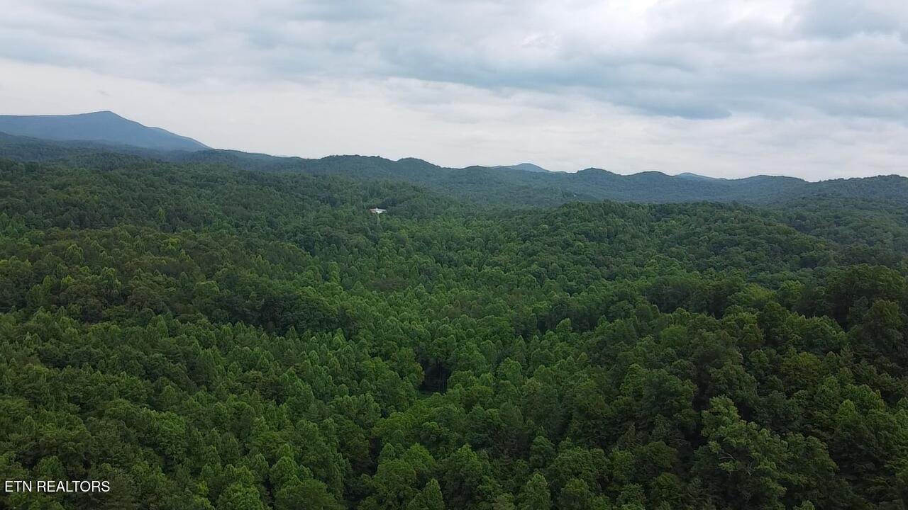 239 Towee Pike Reliance, TN 37369 - Photo 15 of 24 2026-05-29-14-39-28-151