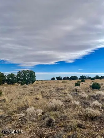 a view of a yard with an ocean view