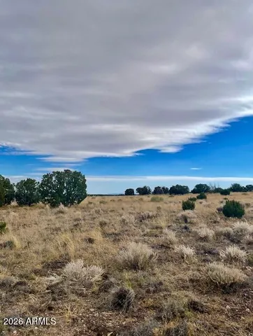 a view of a yard with an ocean view
