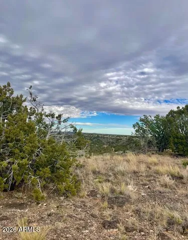 a view of an ocean beach