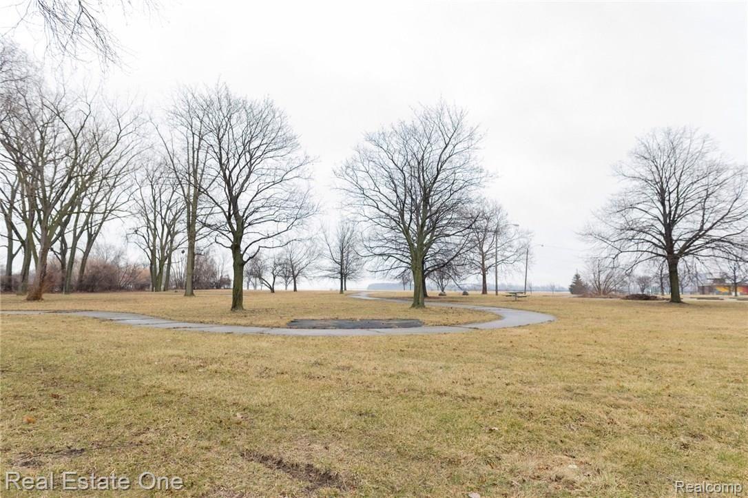 180 Riverside Drive Detroit, MI 48215 - Photo 30 of 30 Park.jpg