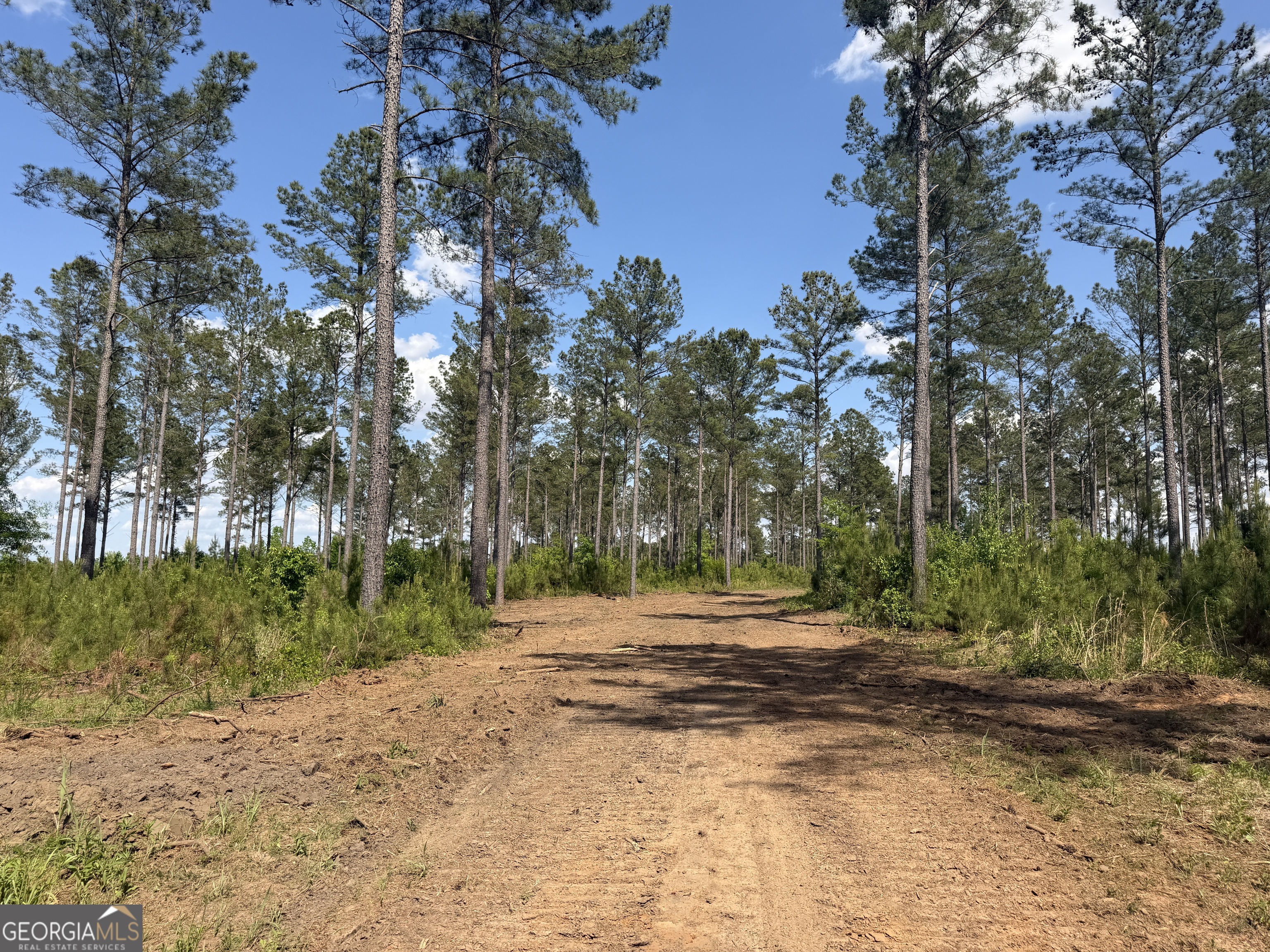 0 Poplar Springs Road Byromville, GA 31007 - Photo 14 of 22