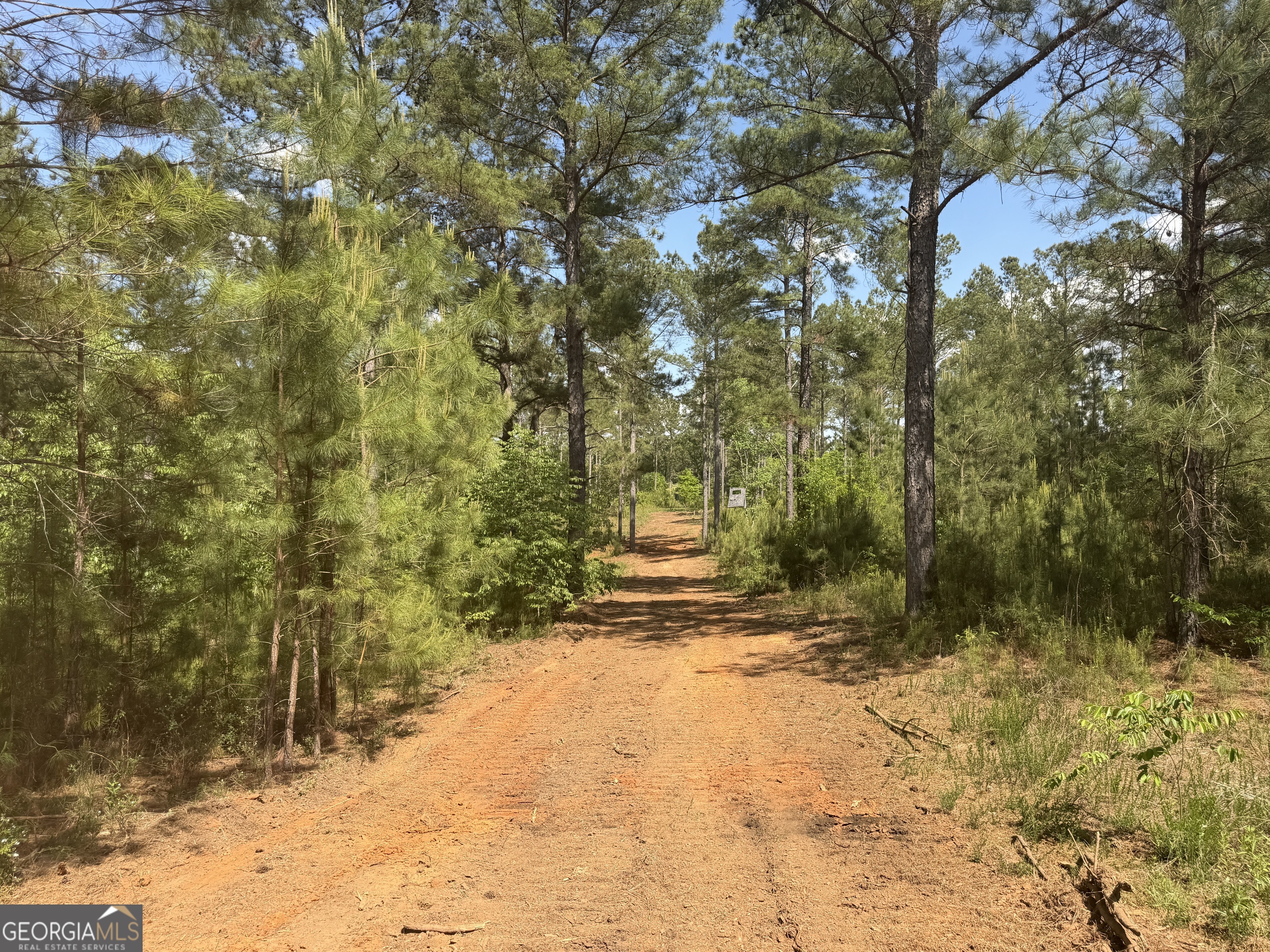 0 Poplar Springs Road Byromville, GA 31007 - Photo 15 of 22
