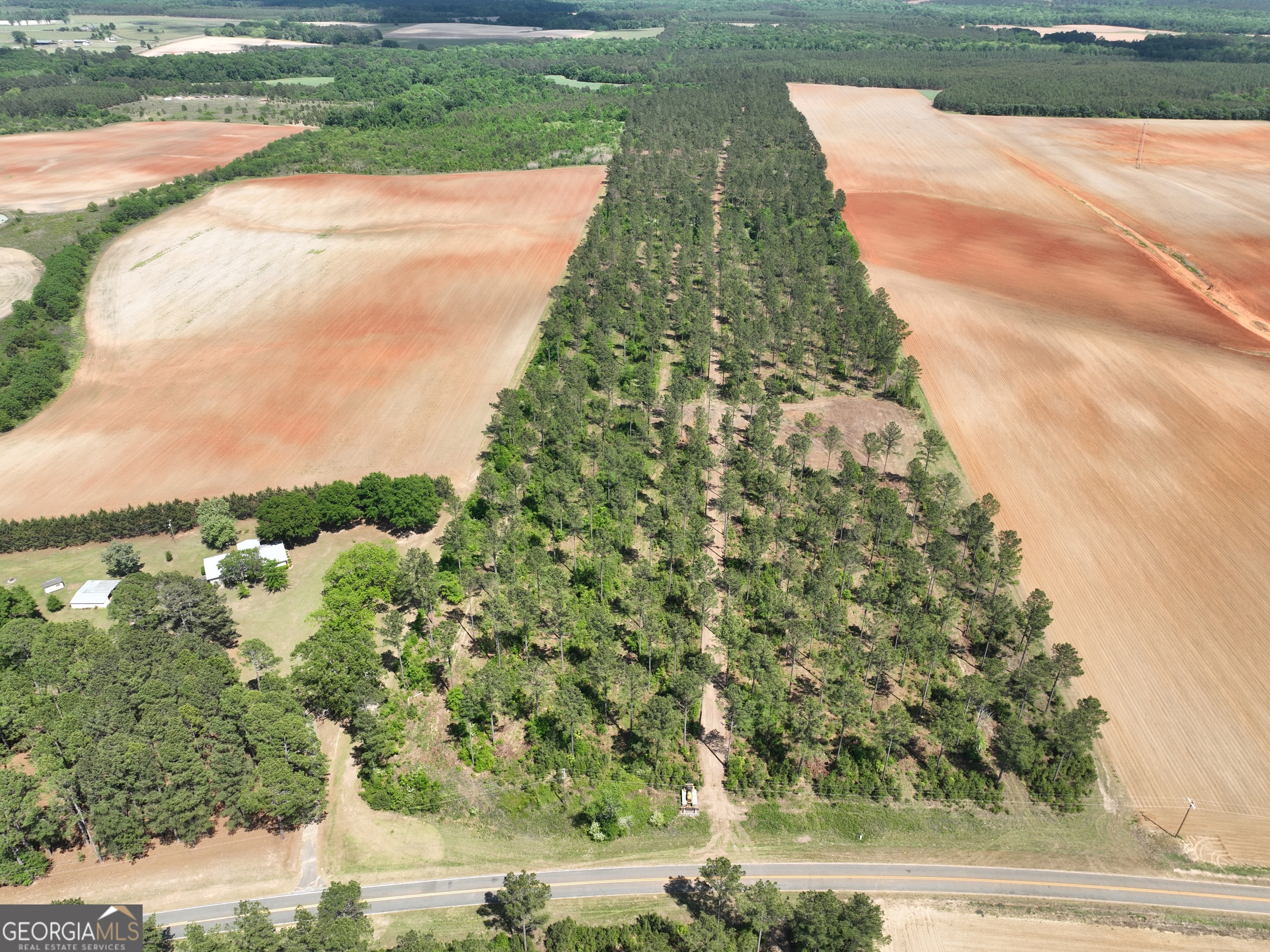 0 Poplar Springs Road Byromville, GA 31007 - Photo 17 of 22