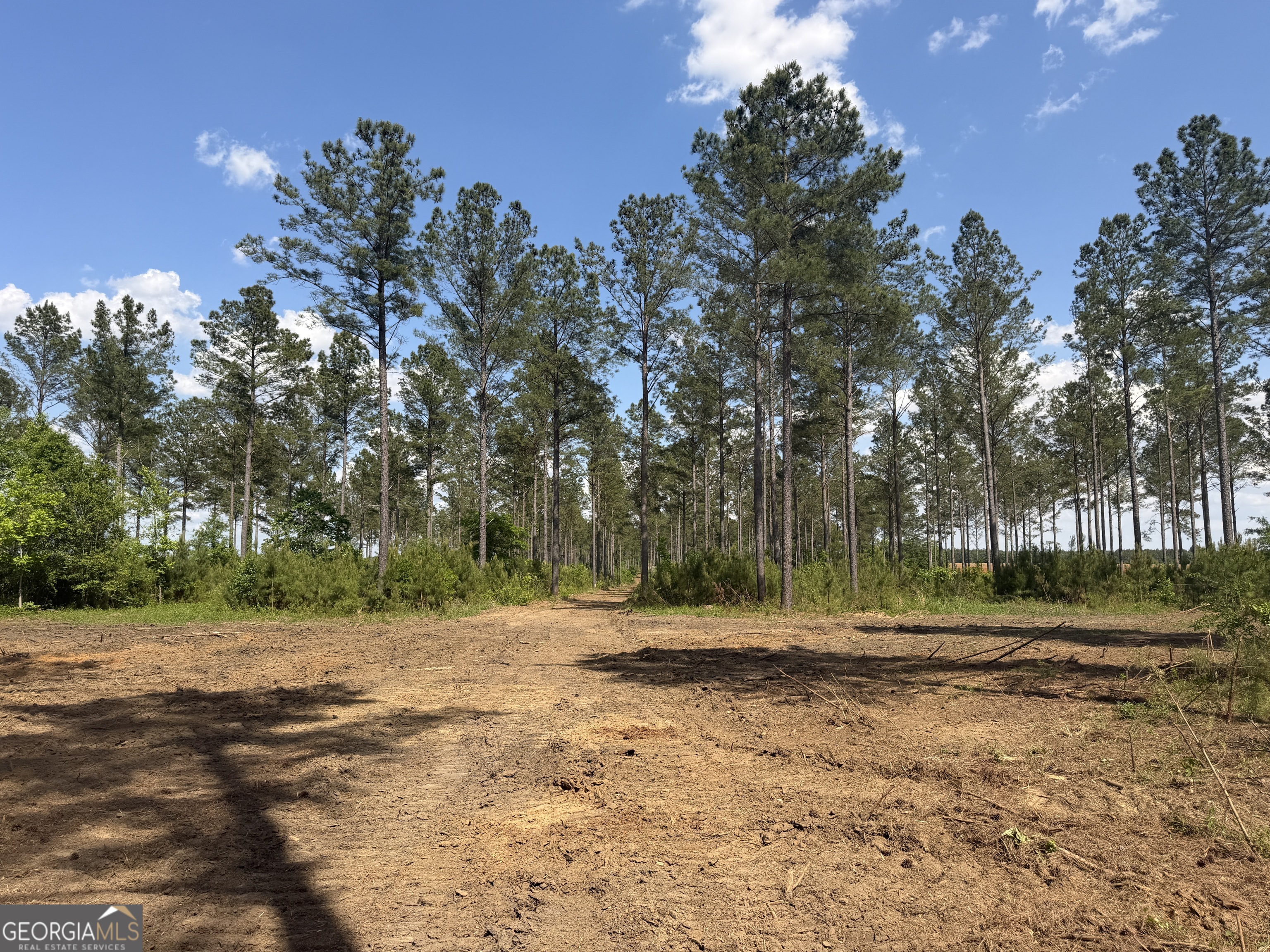 0 Poplar Springs Road Byromville, GA 31007 - Photo 2 of 22