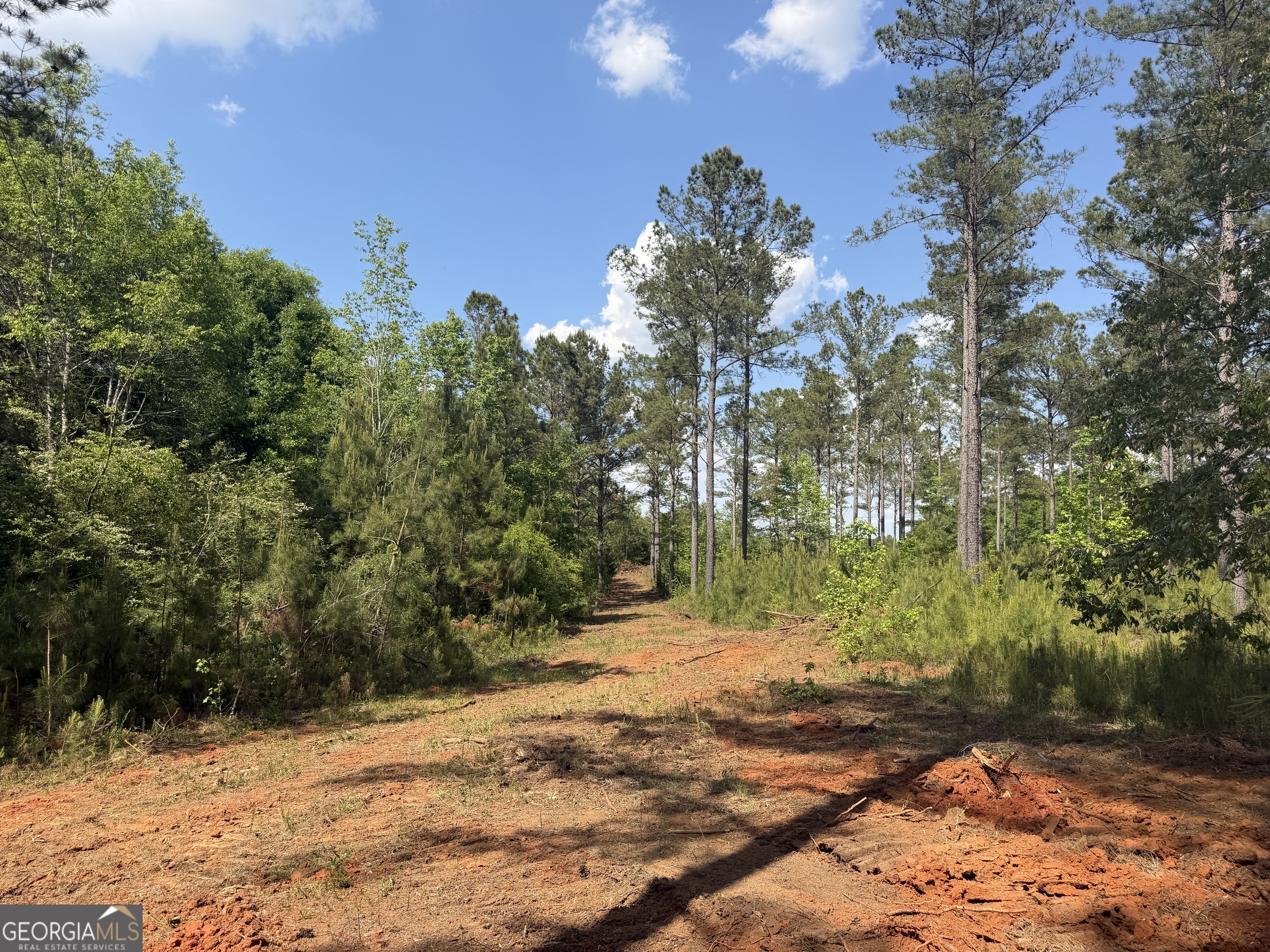 0 Poplar Springs Road Byromville, GA 31007 - Photo 21 of 22