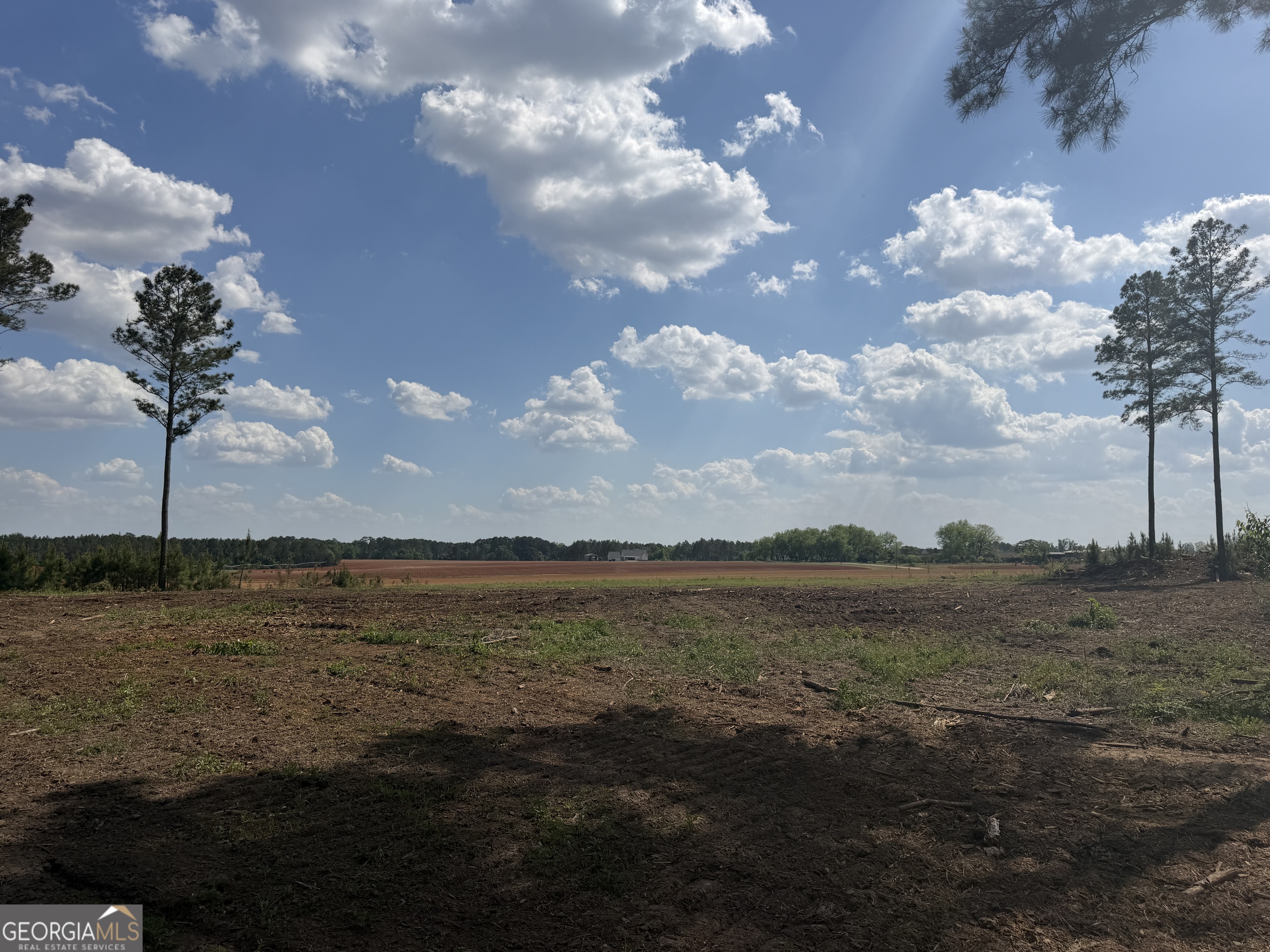 0 Poplar Springs Road Byromville, GA 31007 - Photo 22 of 22