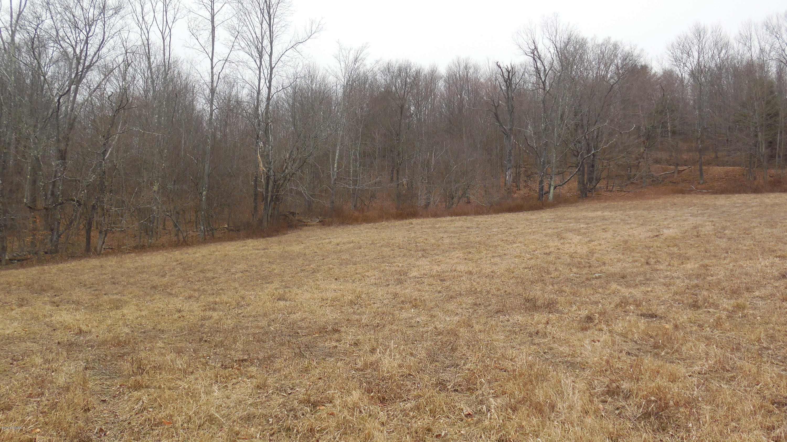 352 Hellmers Hill Road Equinunk, PA 18417 - Photo 9 of 34