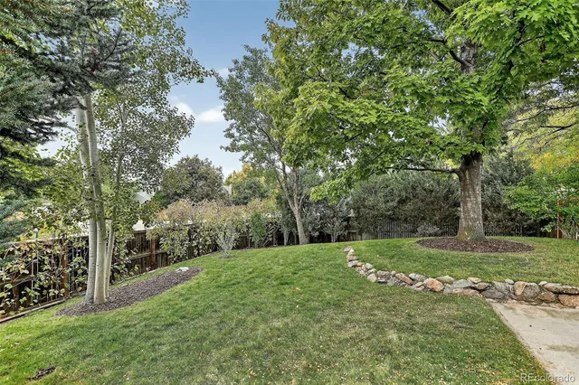 a view of a tree in a yard with plants and trees