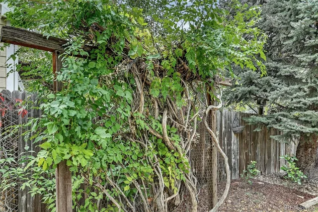 a view of a backyard
