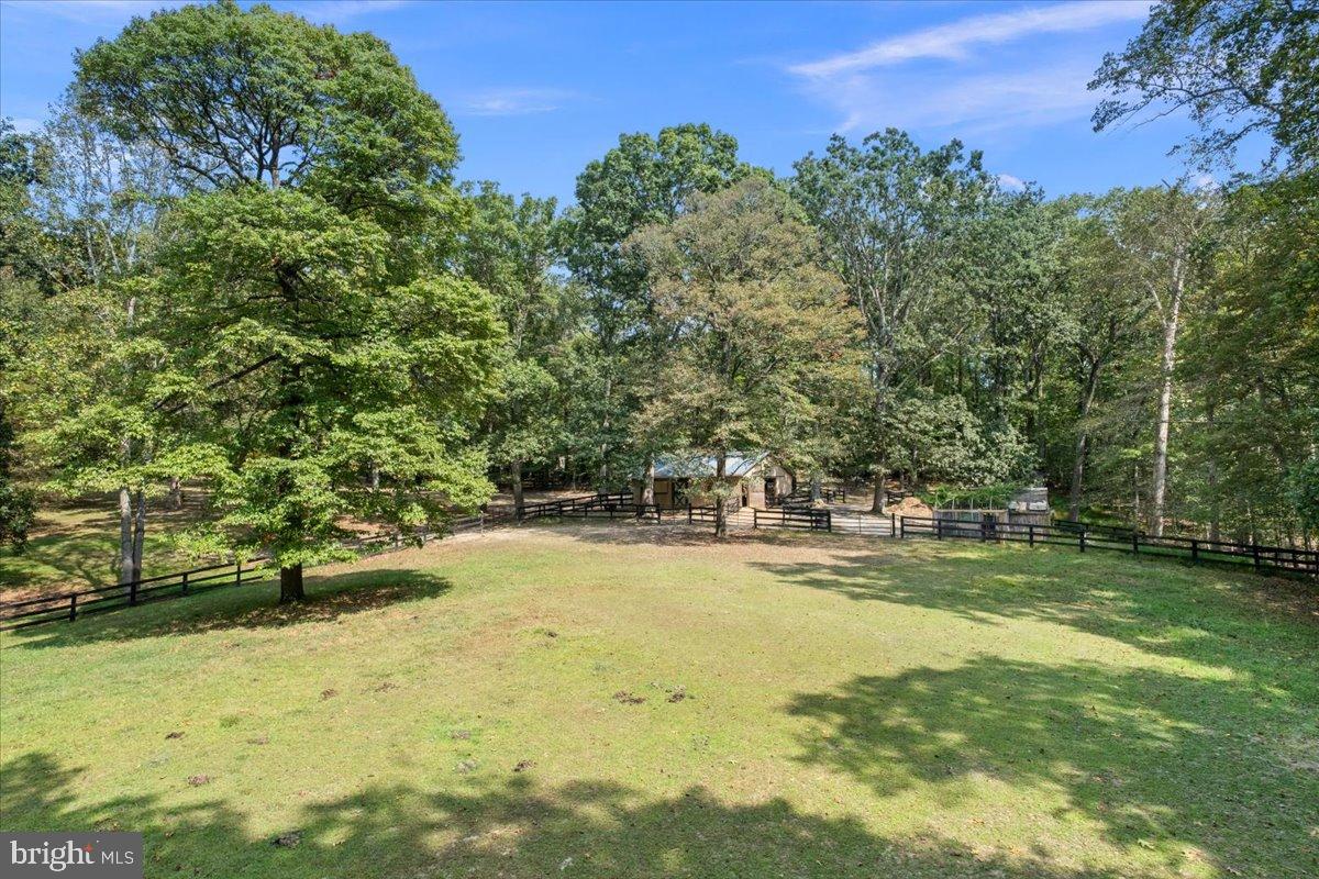 12421 Henderson Road Clifton, VA 20124 - Photo 74 of 90