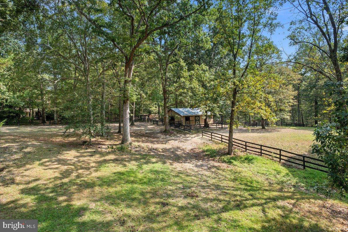 12421 Henderson Road Clifton, VA 20124 - Photo 75 of 90 Serene countryside retreat with lush greenery.
