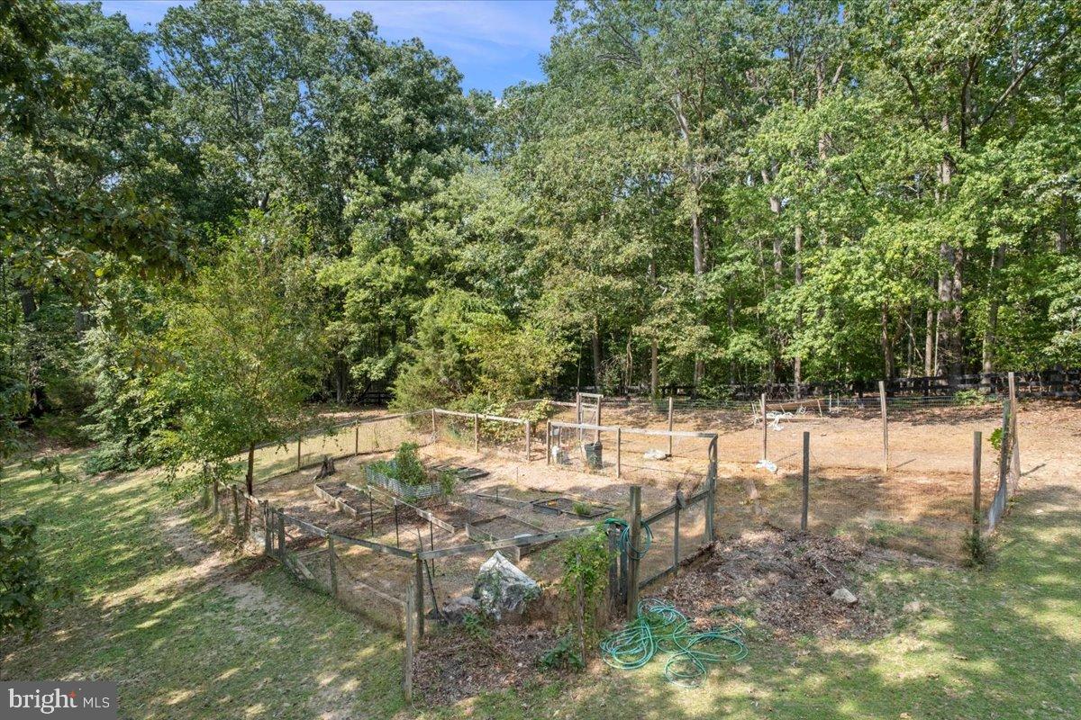 12421 Henderson Road Clifton, VA 20124 - Photo 77 of 90 Lush 100 x 50 Garden