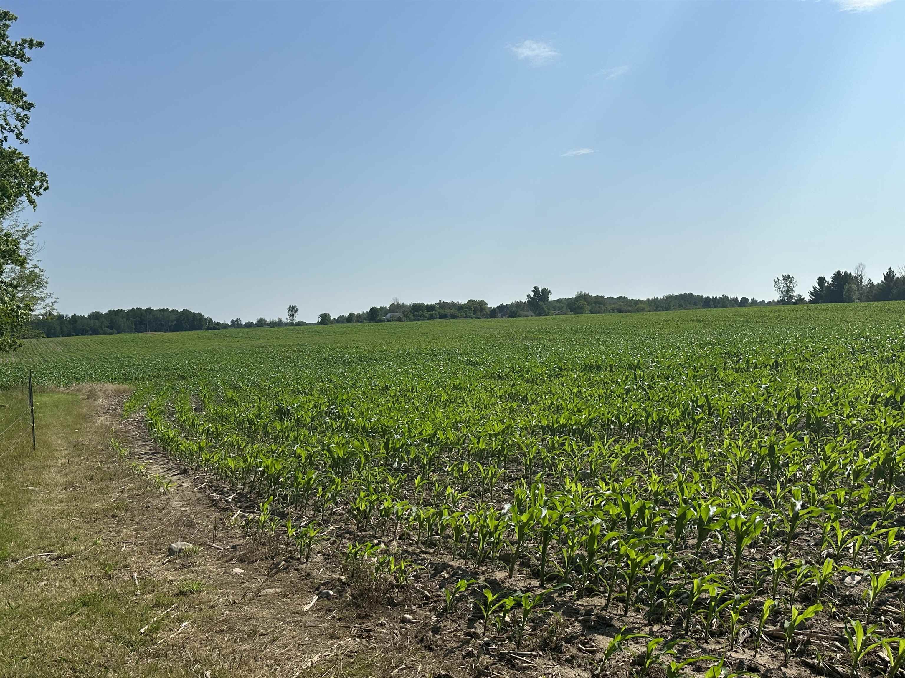 Vl Forest Road Marion, MI 49665 - Photo 2 of 8