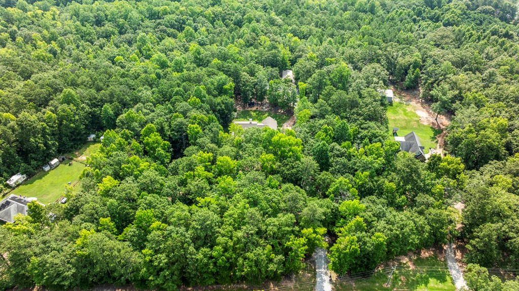 324 Hines Gap Road Hamilton, GA 31811 - Photo 28 of 28