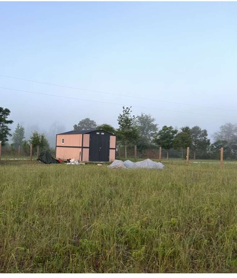 1278 Mark Walden Road Blythe, GA 30805 - Photo 24 of 56 Gallery Image 24