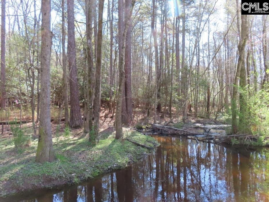 1672 Dixired Road Leesville, SC 29070 - Photo 22 of 67