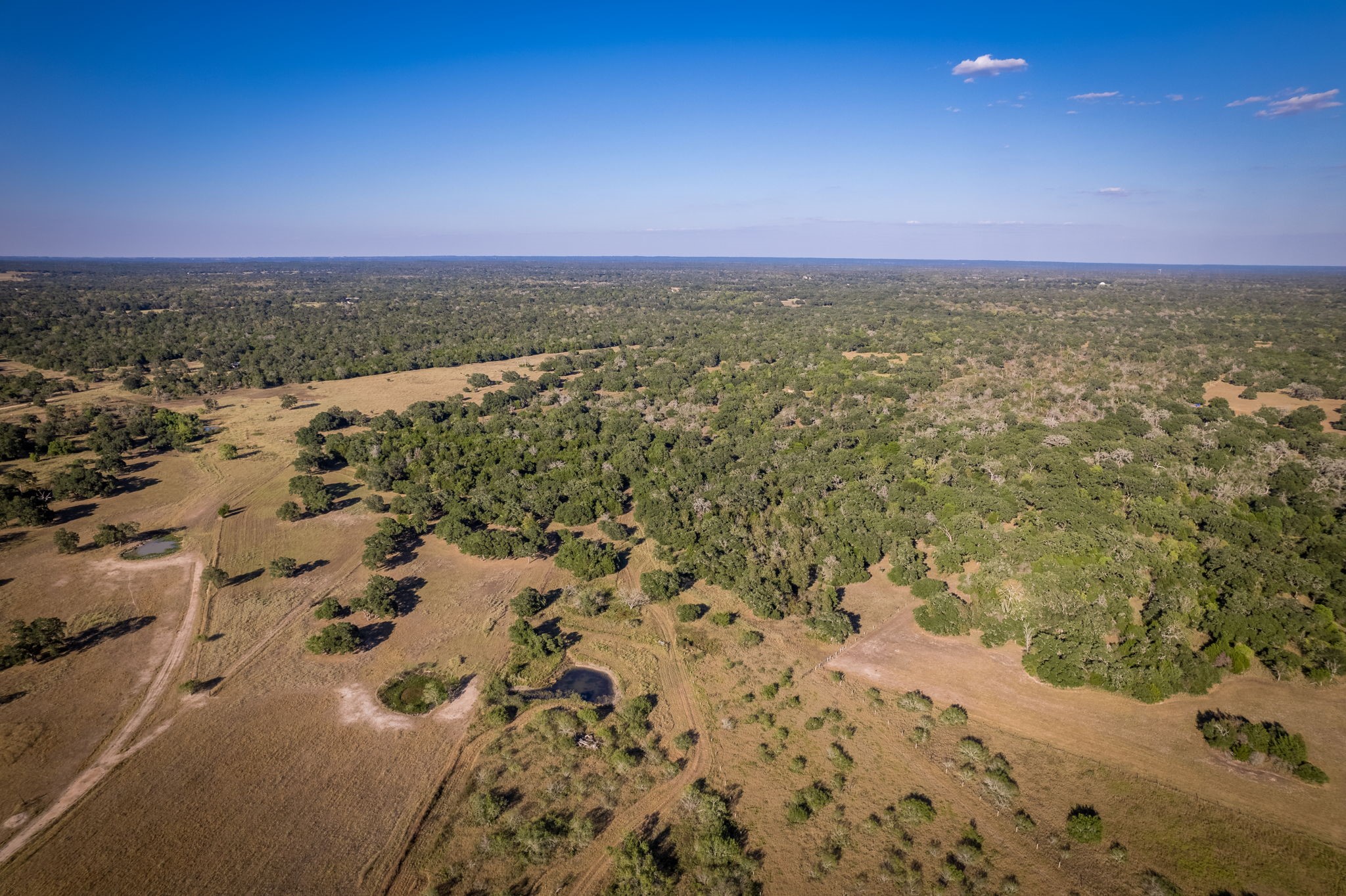 1625 Shaws Bend Road Columbus, TX 78934 - Photo 11 of 12